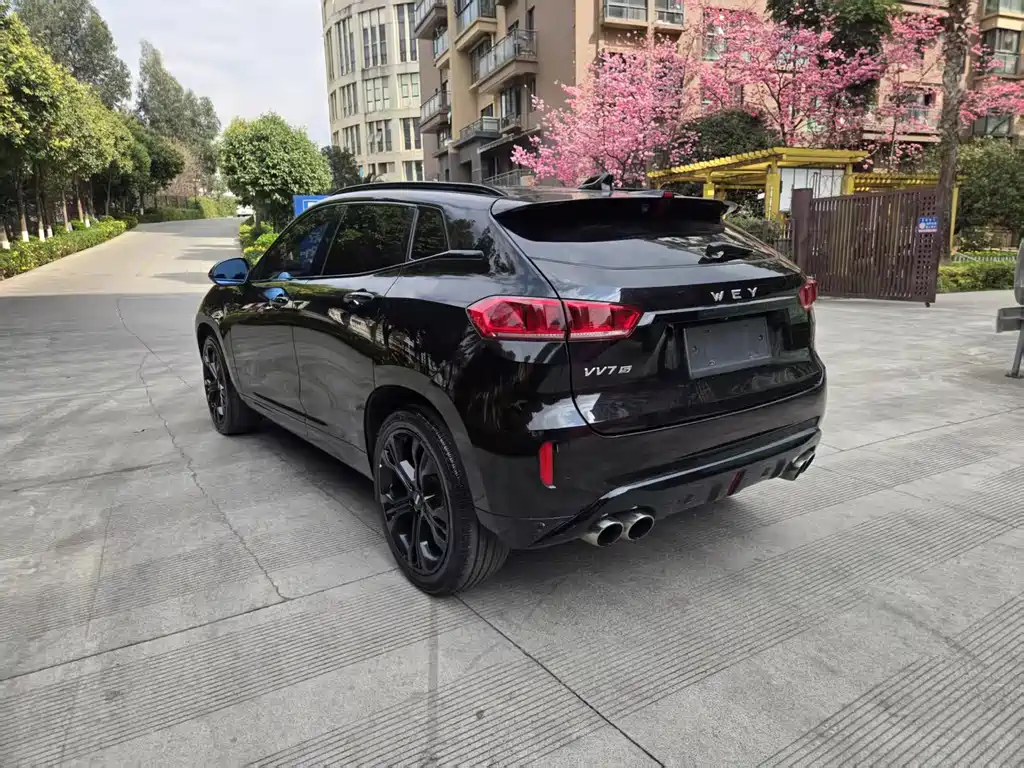 WEI PAI WEI BRAND VV7