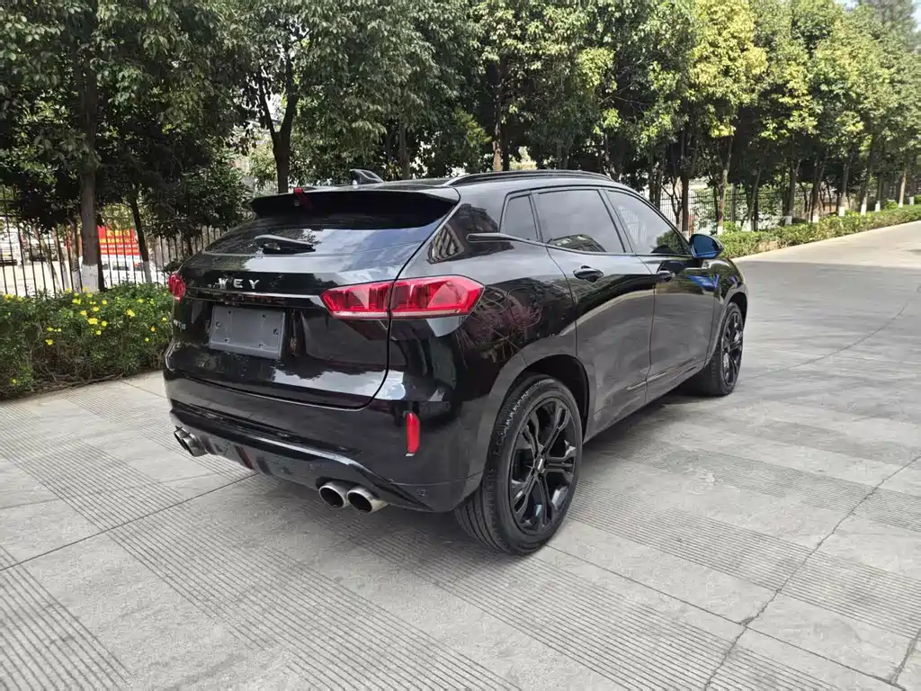 WEI PAI WEI BRAND VV7