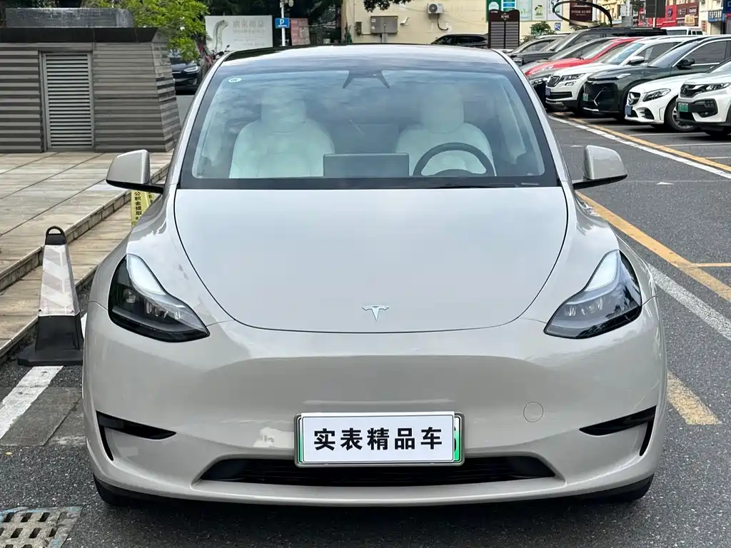 Tesla Model Y — миниатюра 2