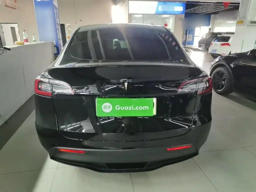 Tesla Model Y — миниатюра 6