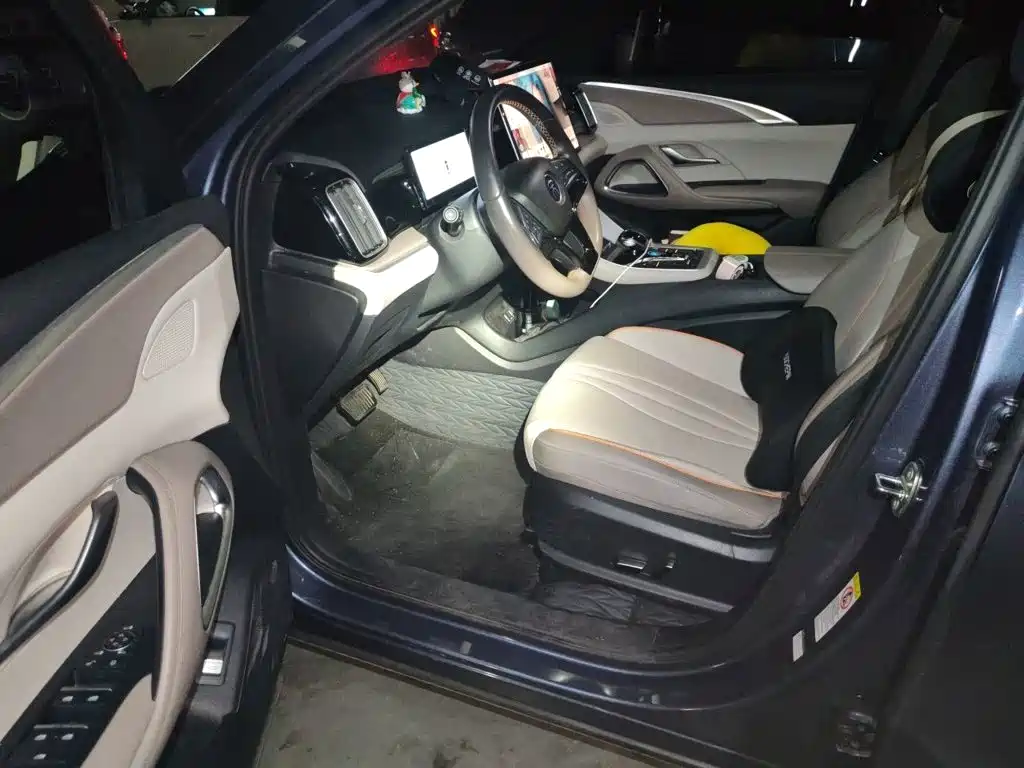 BYD Pro New Energy — миниатюра 14