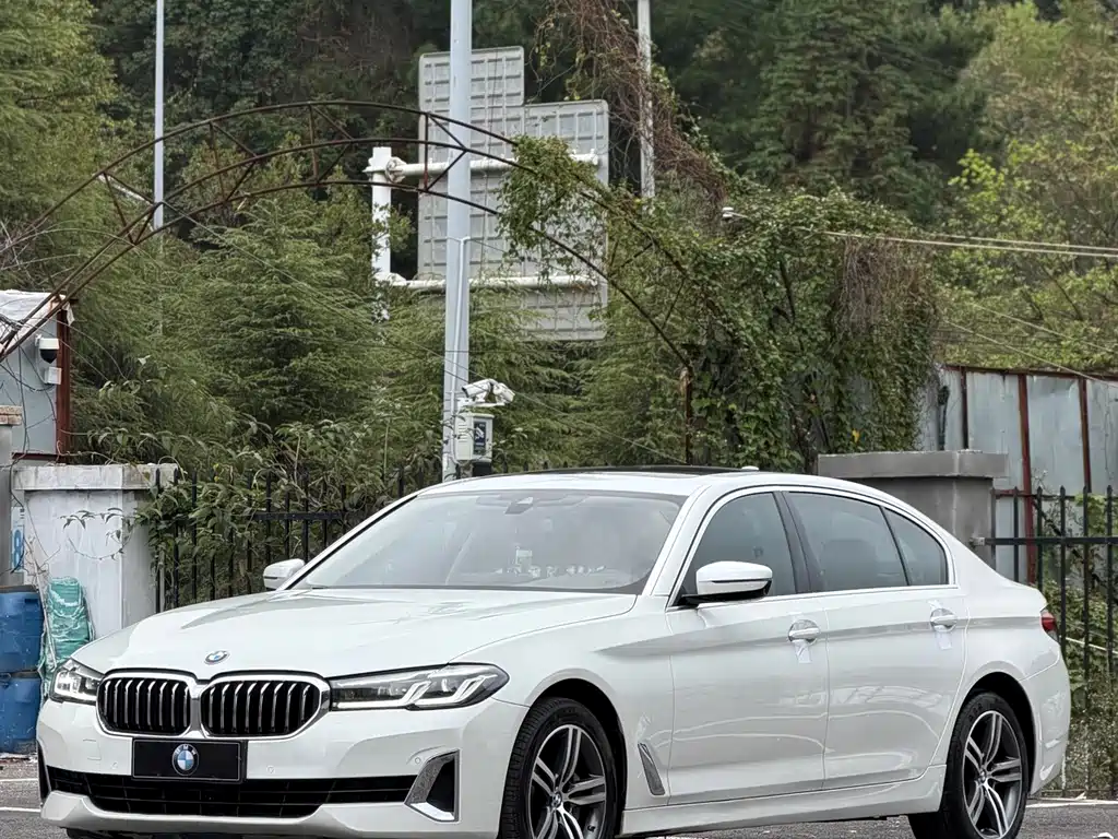 BMW 5 Series — миниатюра 2