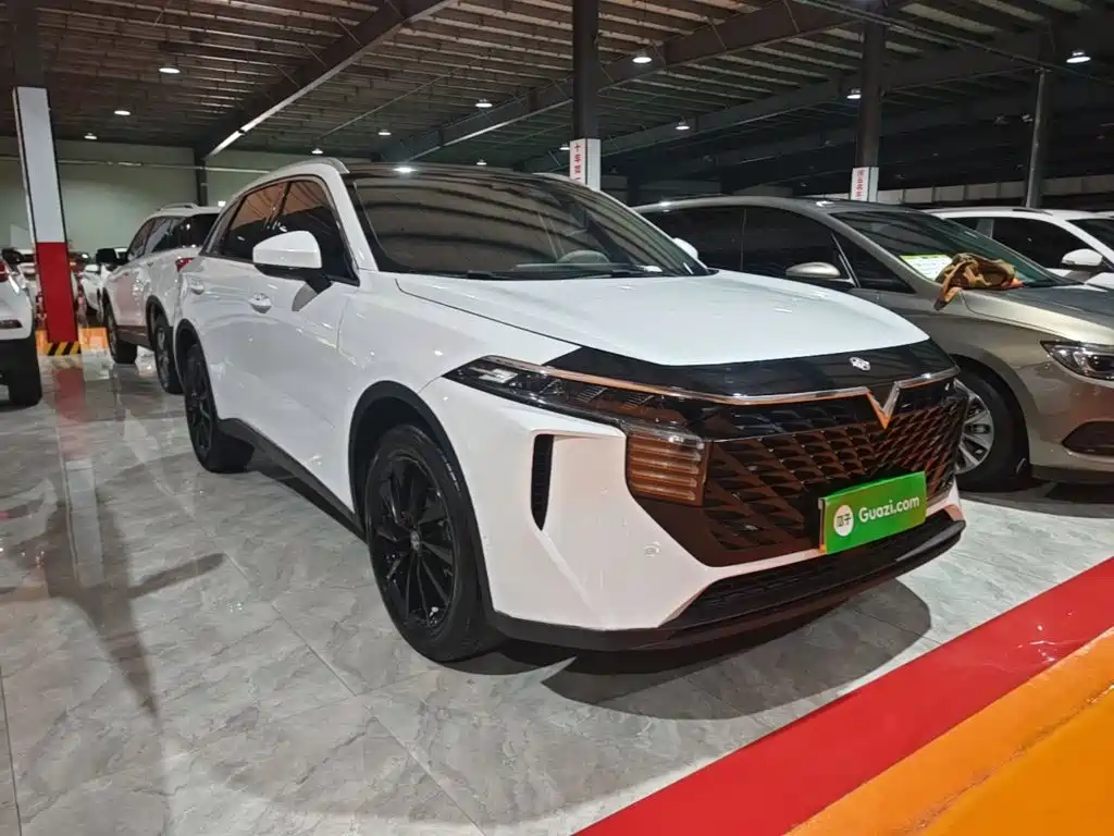 Venucia V — миниатюра 4