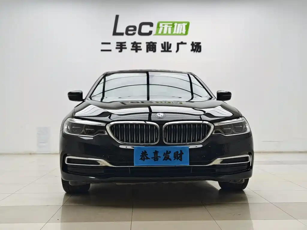 BMW 5 Series 5 2020 530Li Lead Luxury