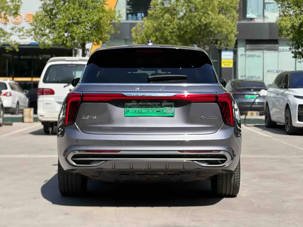Hongqi E-HS9 2021 460km мест
