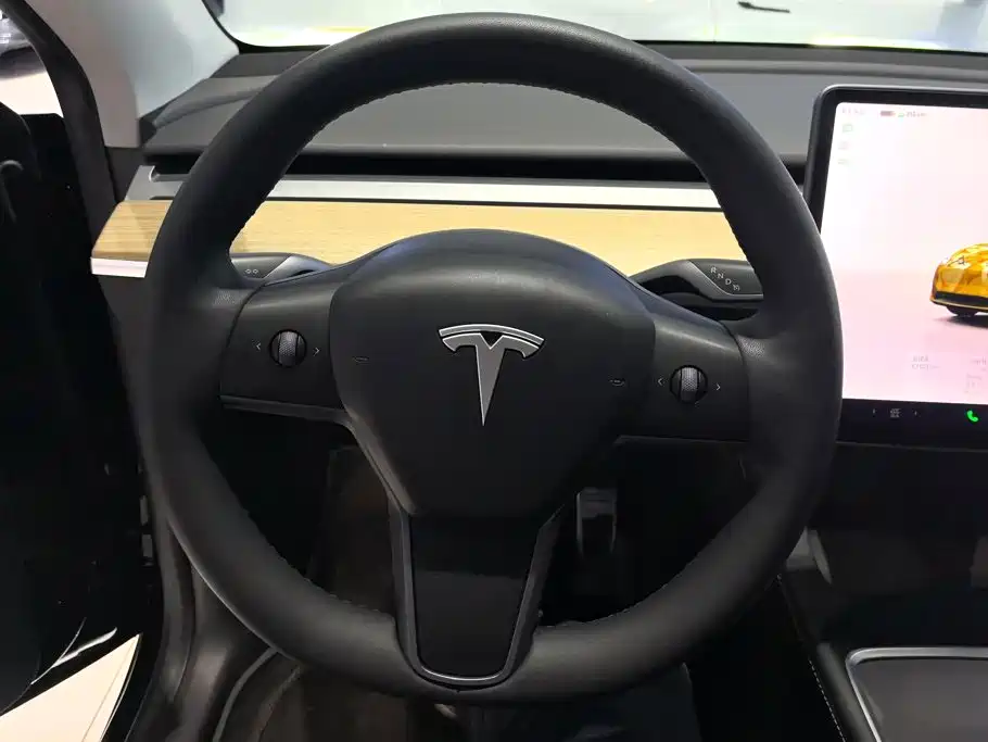 Tesla Model Y — миниатюра 15