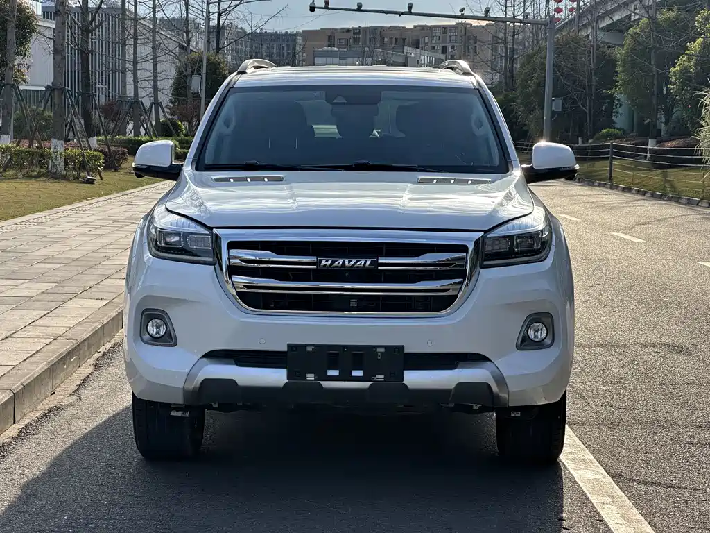 HAVAL H9