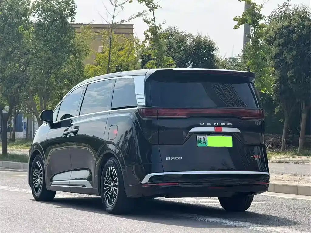 Denza Denza D9 — миниатюра 7