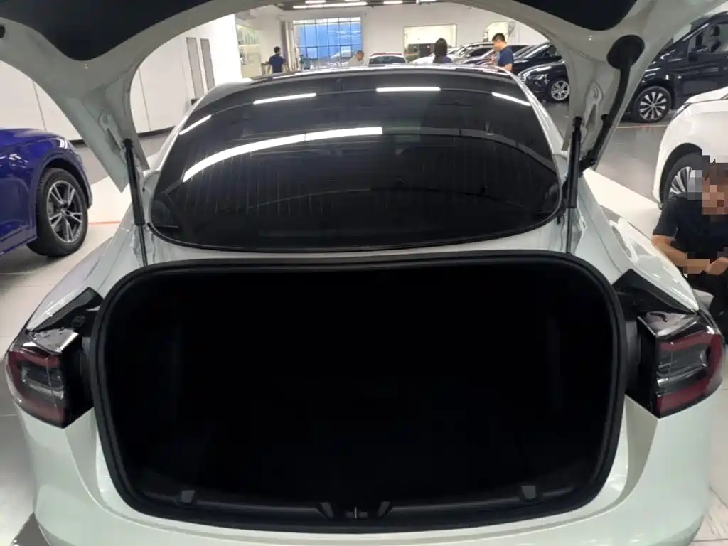 Tesla Model 3 — миниатюра 19