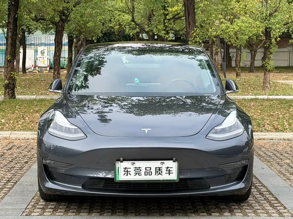 Tesla Model 3 — миниатюра 2