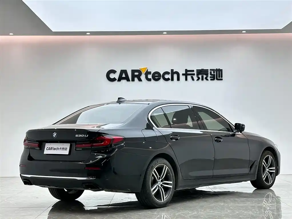 BMW 5 Series 5 2021 530Li Lead Luxury