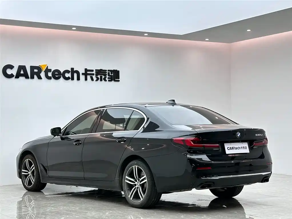 BMW 5 Series 5 2021 530Li Lead Luxury
