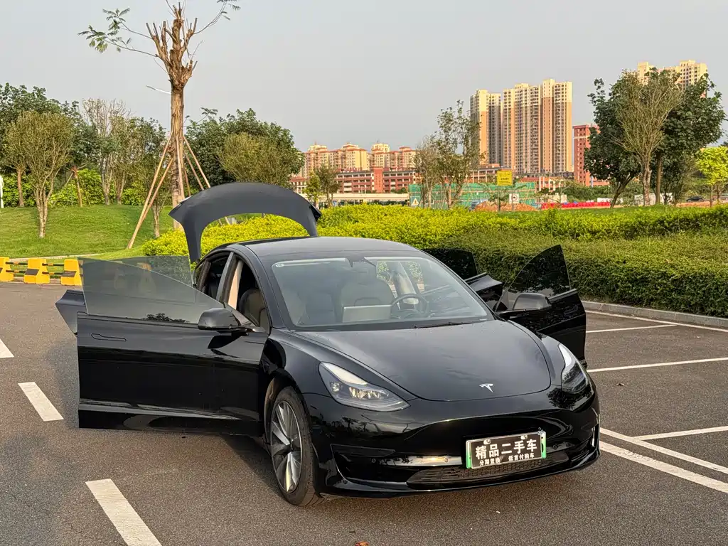 Tesla Model 3 — миниатюра 32