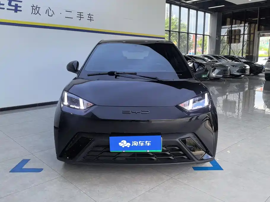 BYD Seagull 2023 Freedom