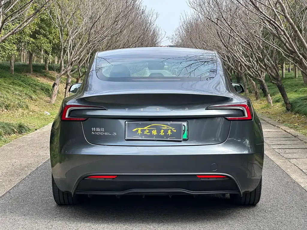 TESLA MODEL 3