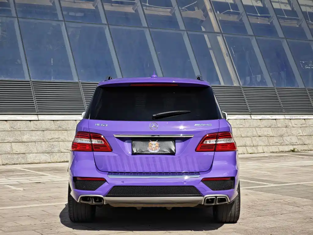 Mercedes-Benz M-Class AMG AMG ML 63, фото 5