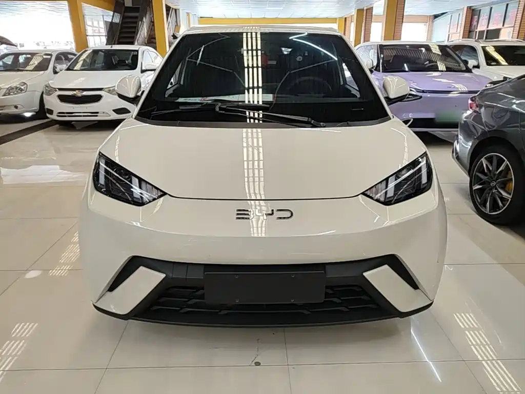 BYD Seagull 2024 305km