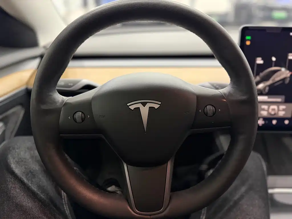 Tesla Model 3 — миниатюра 13