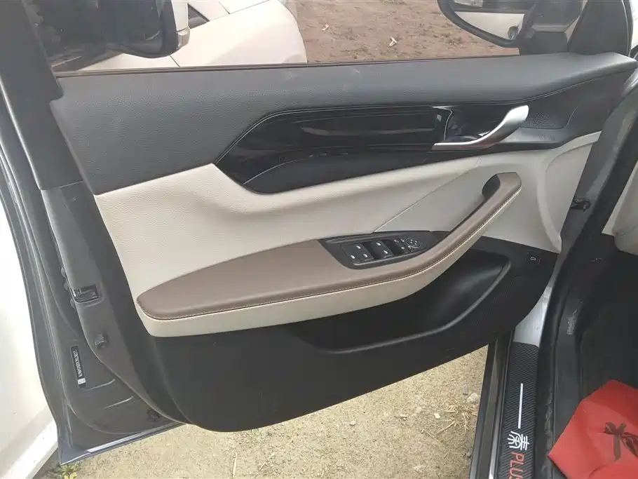 BYD Qin Plus PLUS 2024 DM-i 55KM Lead