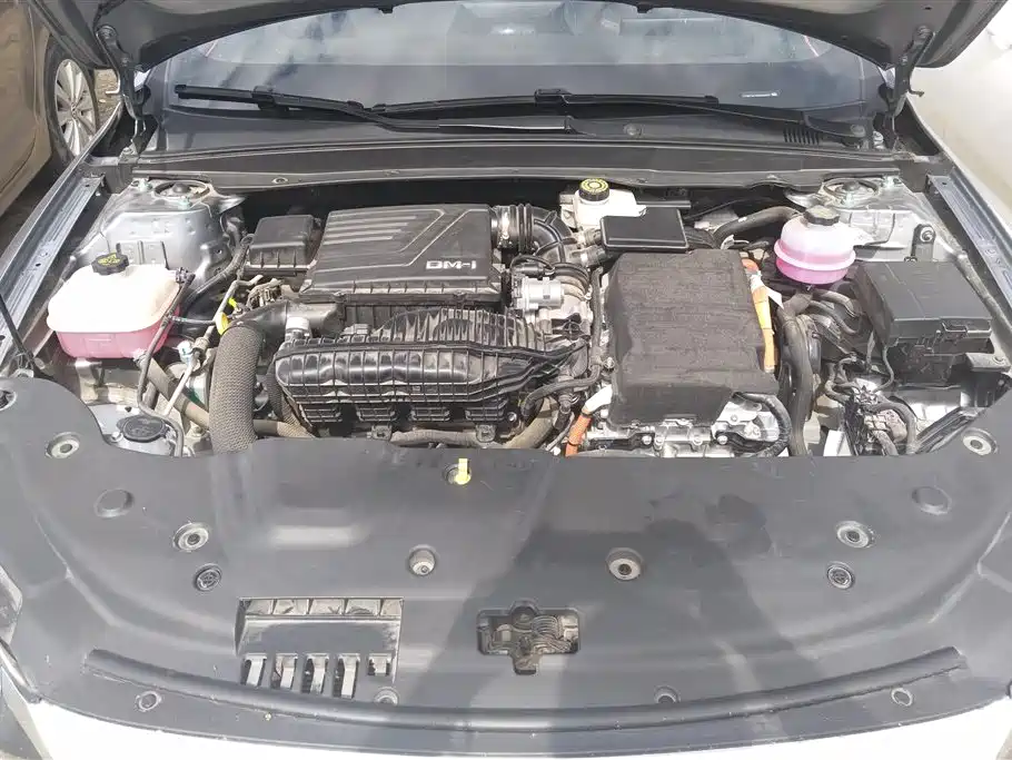 BYD Qin Plus PLUS 2024 DM-i 55KM Lead