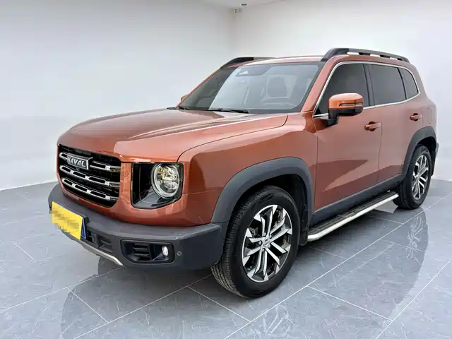 2021 Haval Big Dog