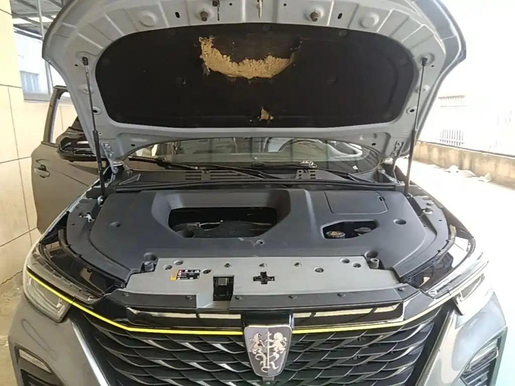 Roewe RX5 — миниатюра 20