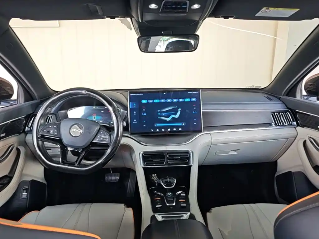BYD PLUS New Energy — миниатюра 10