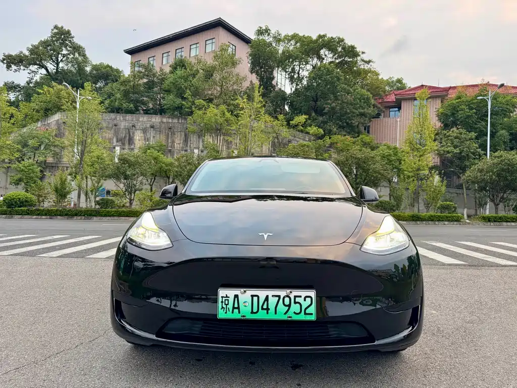 Tesla Model Y — миниатюра 2