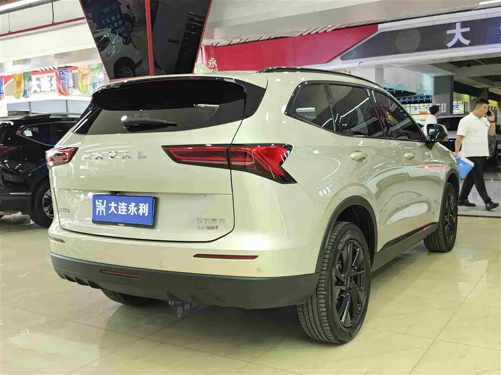 Haval H6 — миниатюра 13
