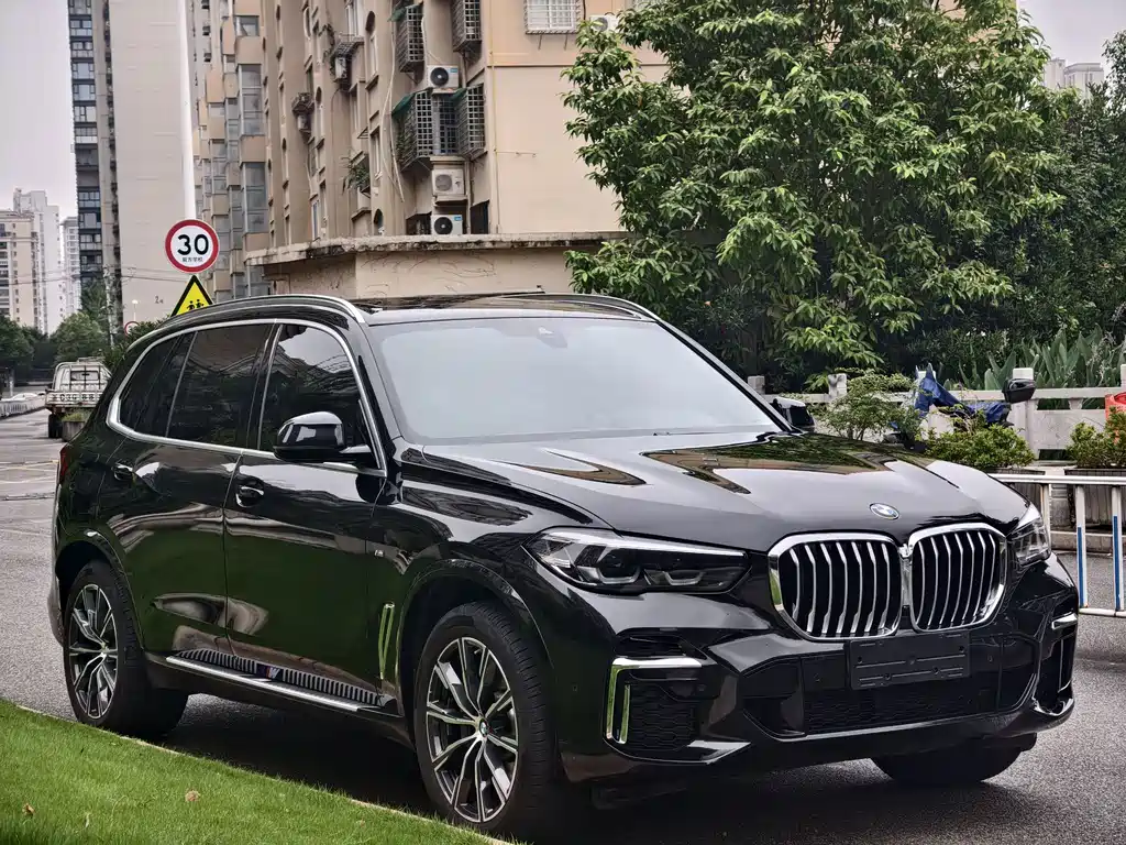 BMW X5 2022 xDrive 30Li M Sport