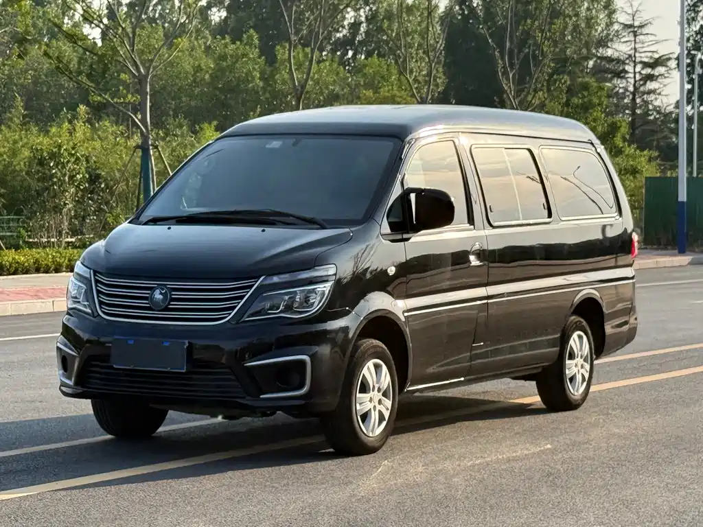 Купить Fengxing Lingzhi