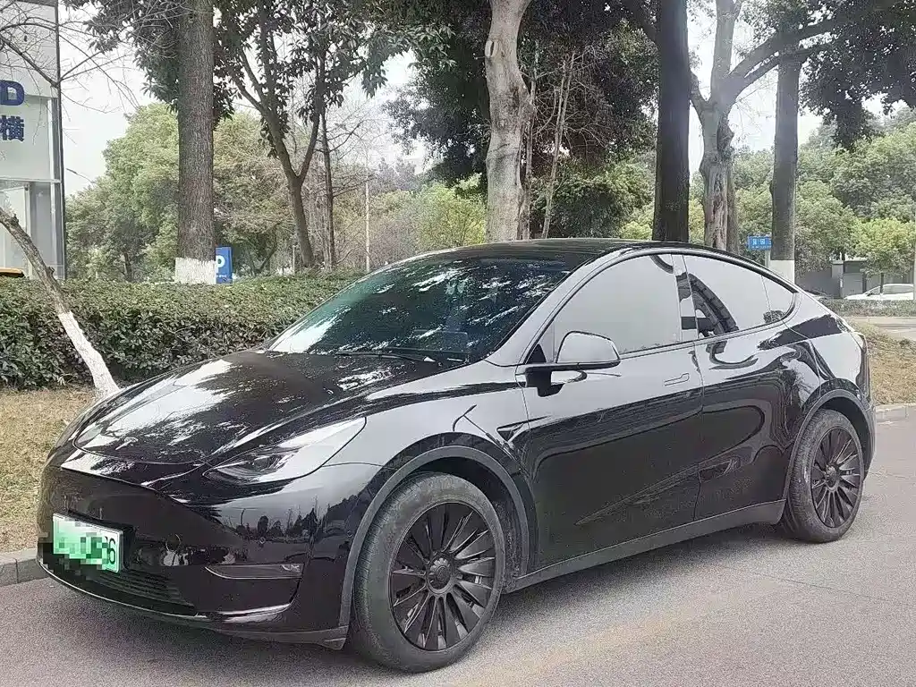 Tesla Model Y 2021