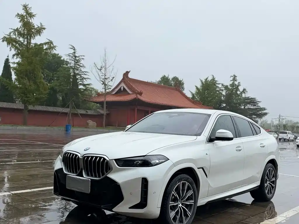 BMW X6 — фотографии объявления, Фото 5