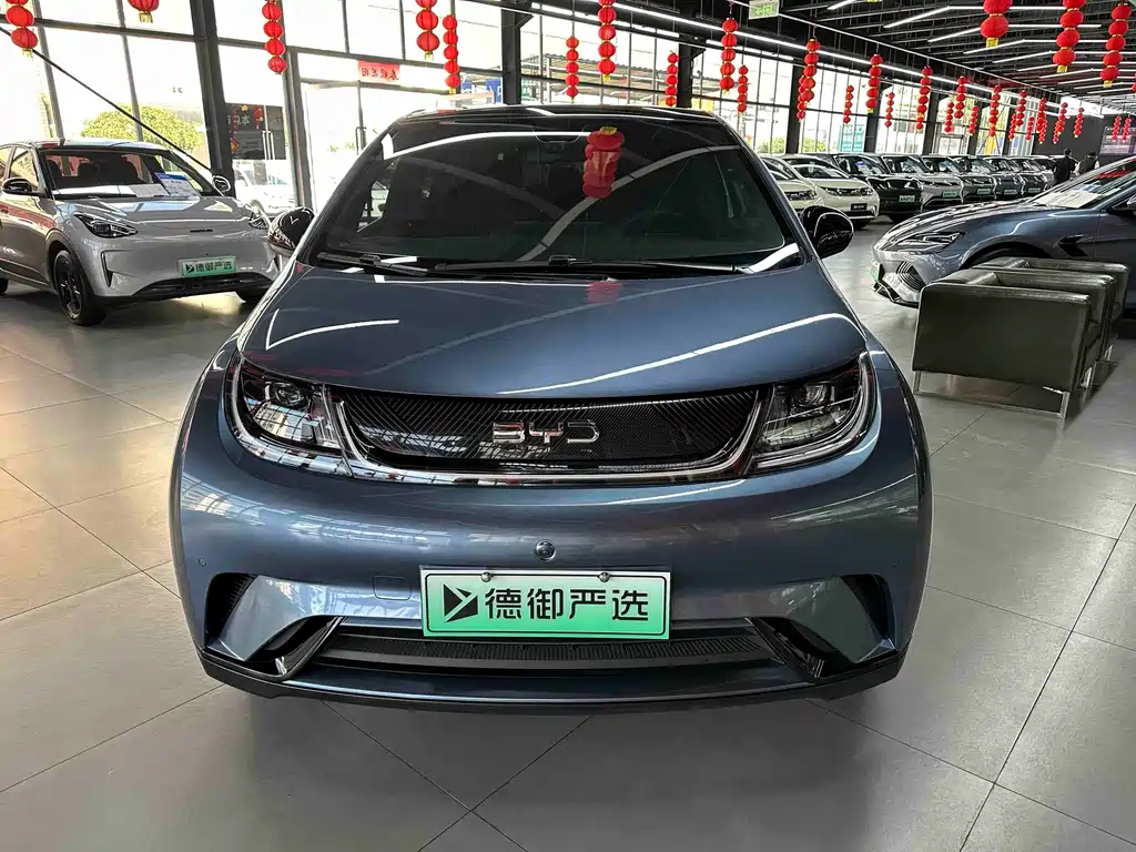 BYD Dolphin — миниатюра 2