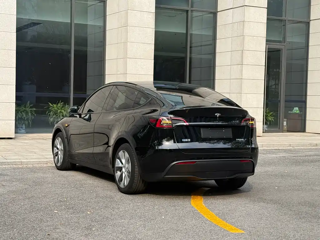 Tesla Model Y — миниатюра 17