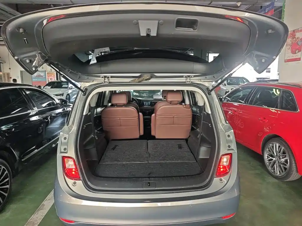 Buick GL6 — миниатюра 19
