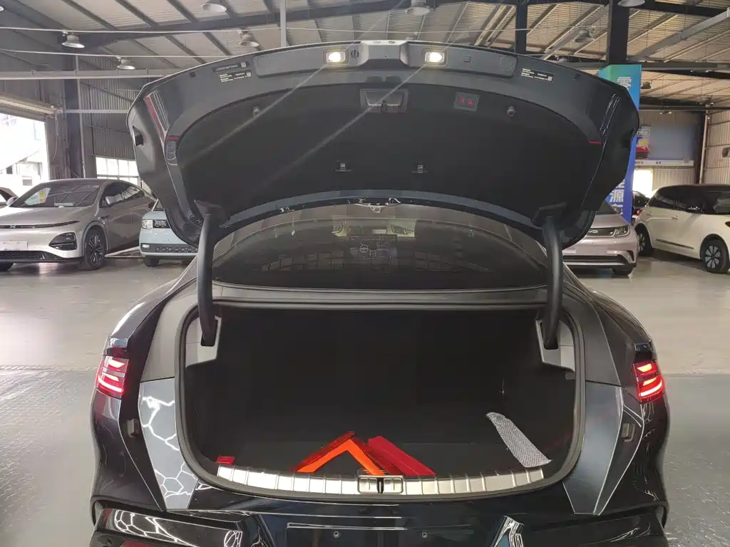 Denza Denza Z9 — миниатюра 19