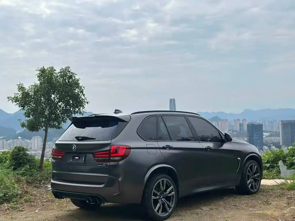 BMW X5 (Import) — миниатюра 12