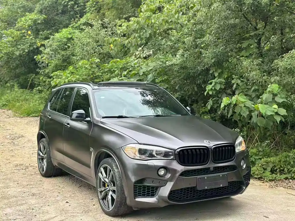 BMW X5 (Import) — миниатюра 14