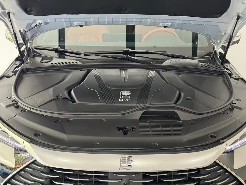 BYD Tang New Energy — миниатюра 4