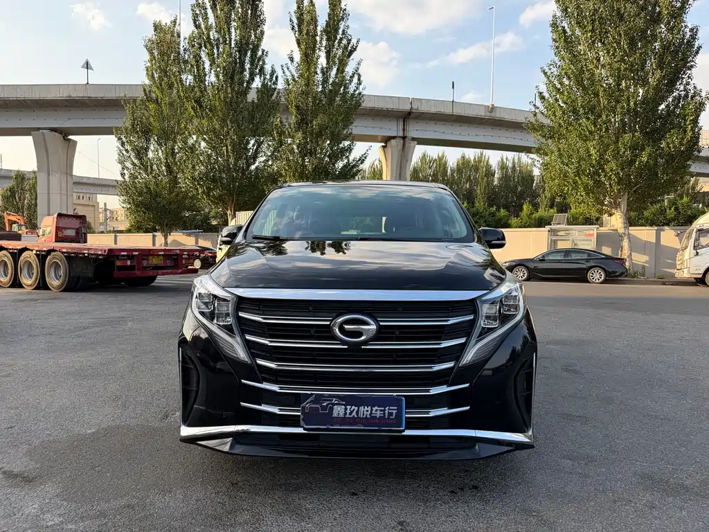 GAC Motor Trumpchi M8 — миниатюра 2