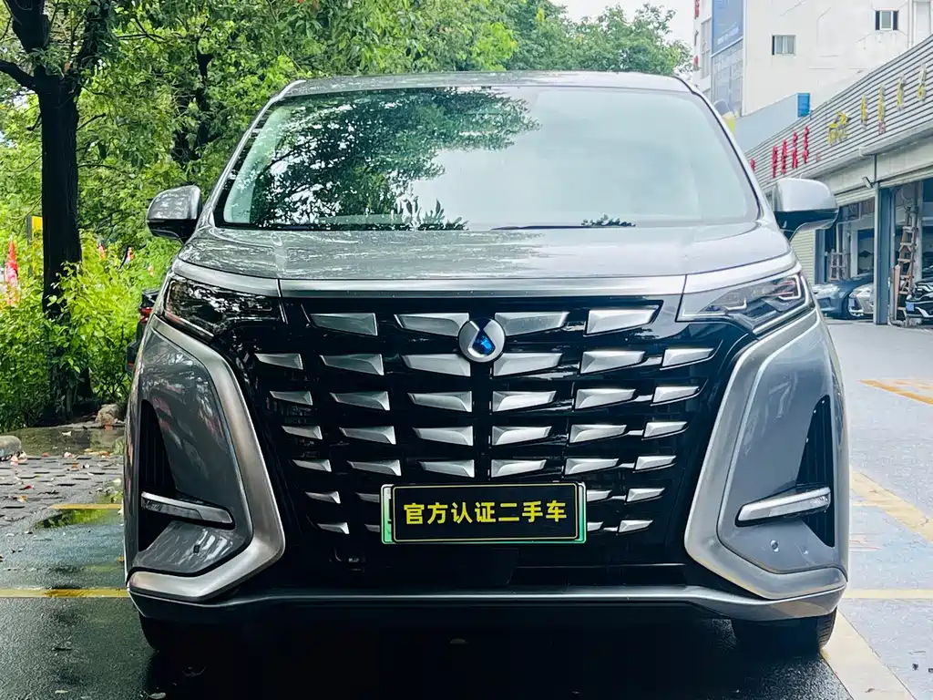 Denza D9 2022 DM-i 1040 Luxury