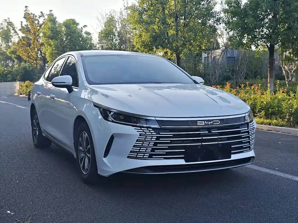 BYD Destroyer 05 — миниатюра 3