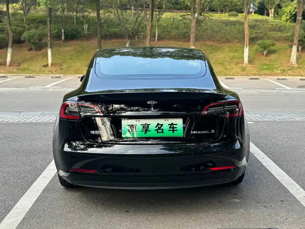 Tesla Model 3 — миниатюра 6