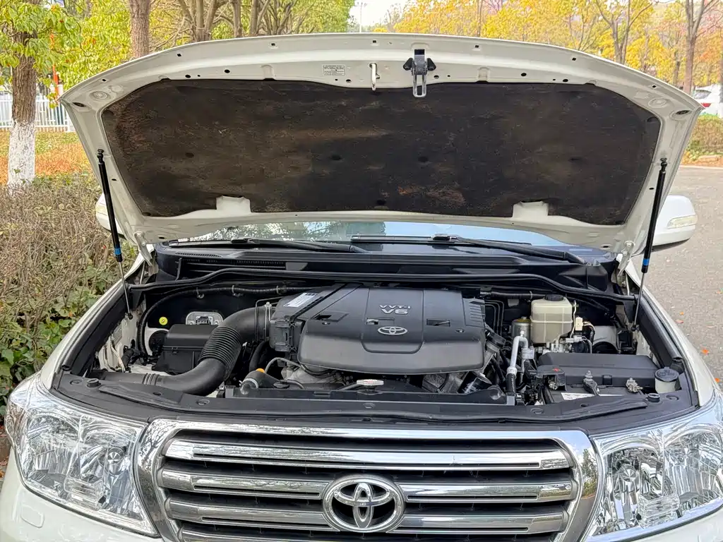 Toyota Land Cruiser — миниатюра 24