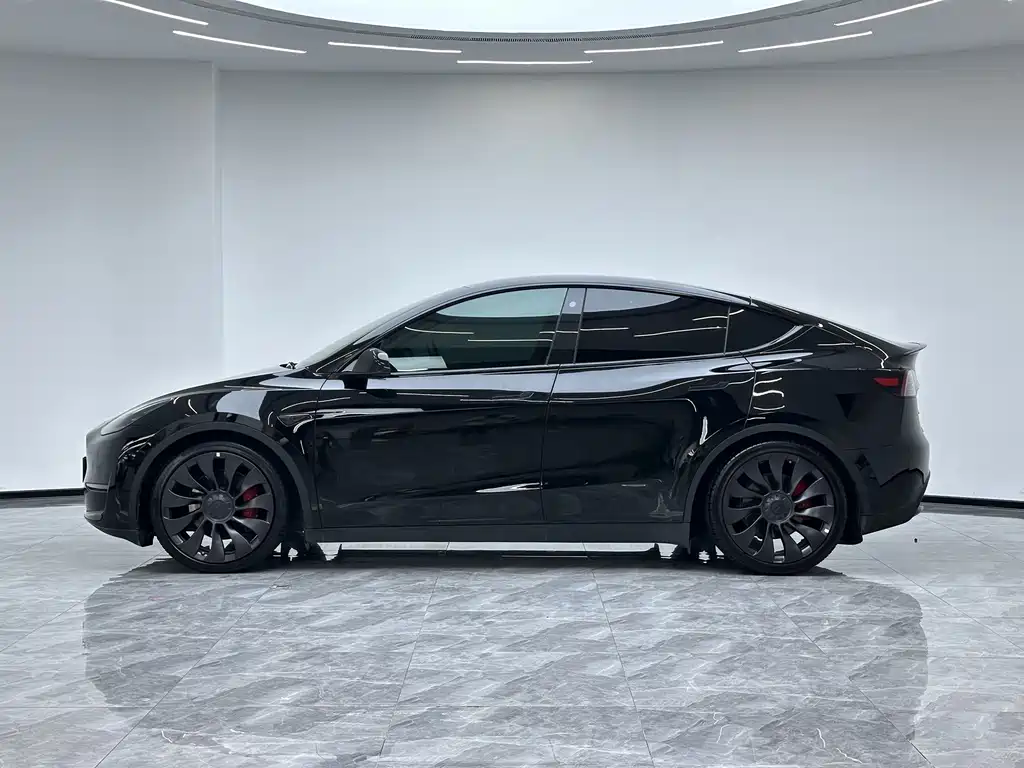 Tesla Model Y — миниатюра 10