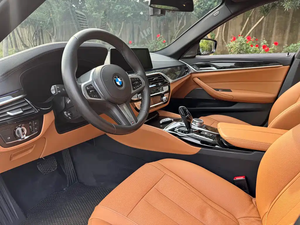 BMW 5 Series 5 2020 530Li Premium M Sport