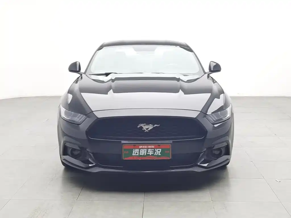 Ford Mustang — миниатюра 3