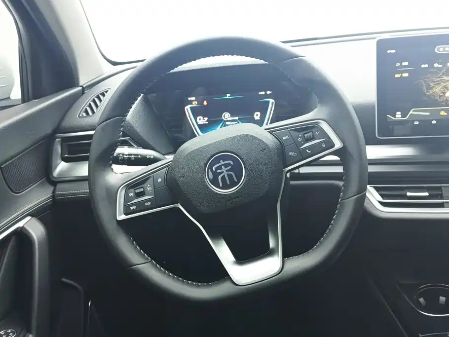 BYD Pro — миниатюра 15