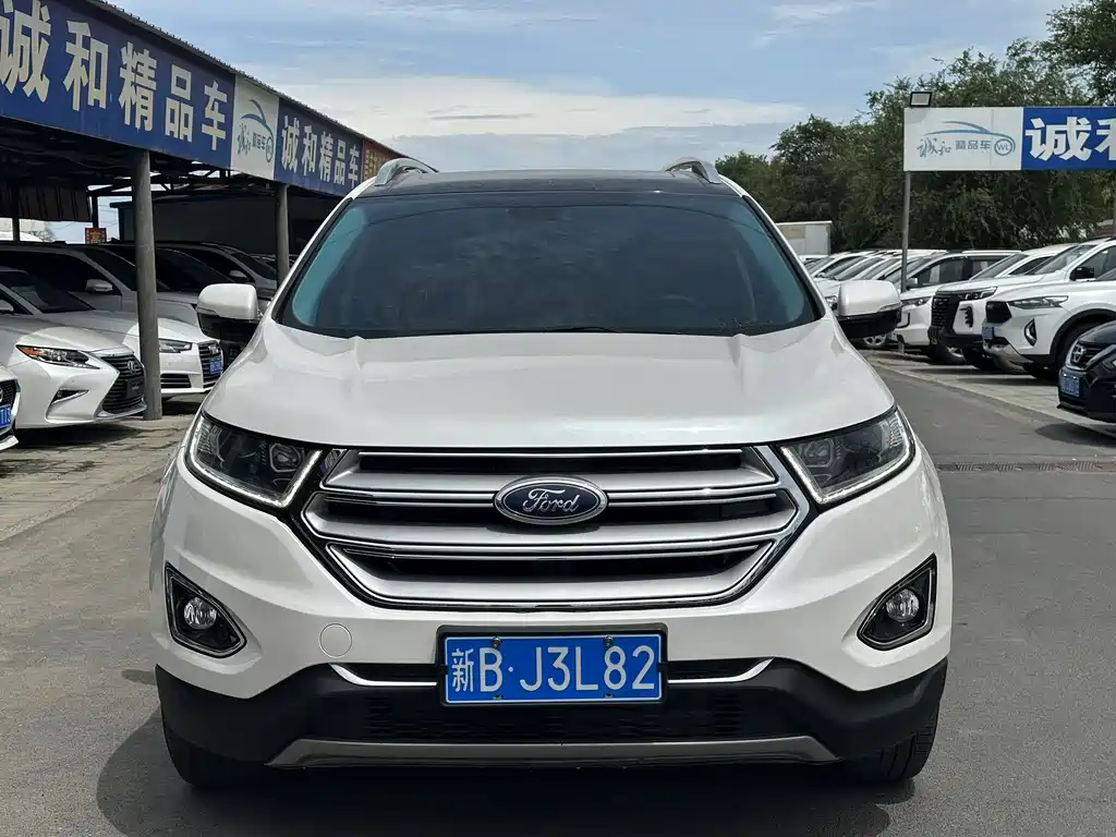 Ford Edge EcoBoost 245 4WD Luxury Sharp Type 7 seats, фото 2